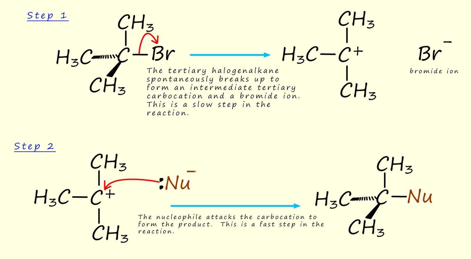 mechanism of a SN1 reaction of tertiary halogen alkane with a nucleophile